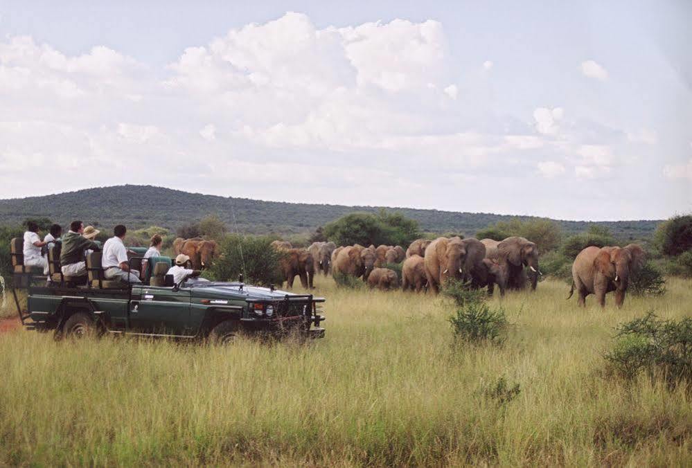 Sanctuary Makanyane Safari Lodge Мадікве-Ґейм-Резерв Екстер'єр фото